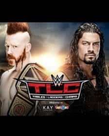 WWE TLC 桌梯椅大赛2015